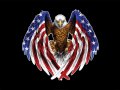 21 Eagle Flag Wings
