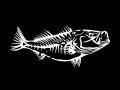 43 Skeleton Fish 04